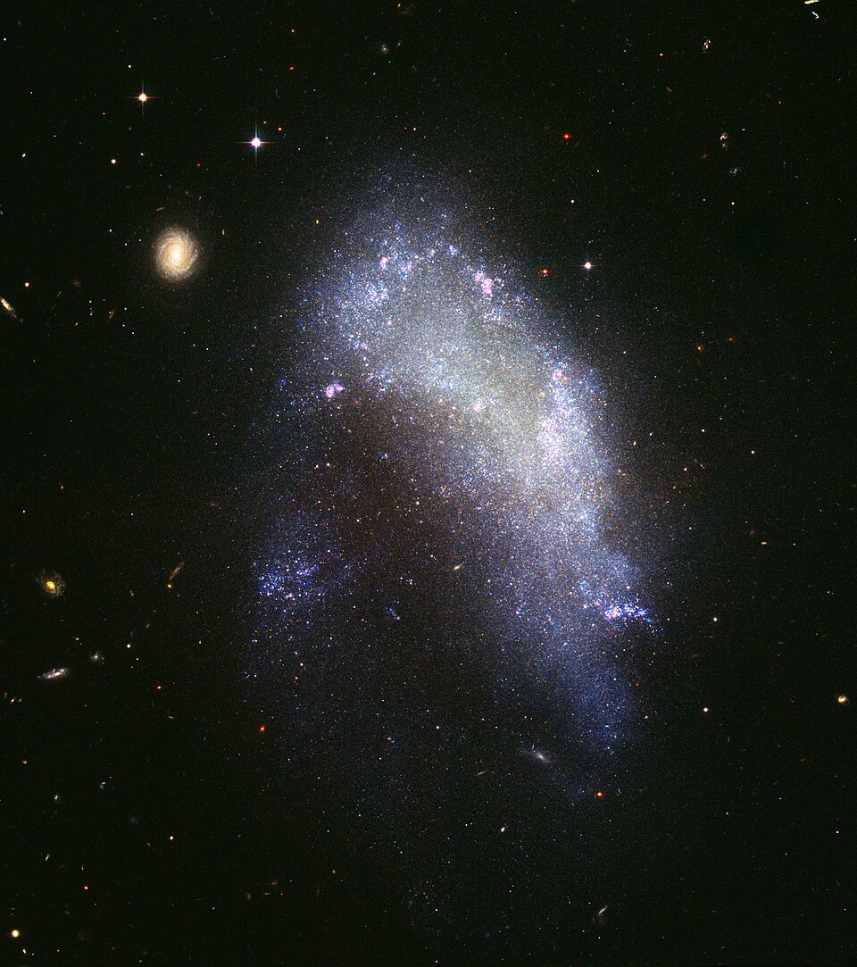 Large Magellanic Cloud